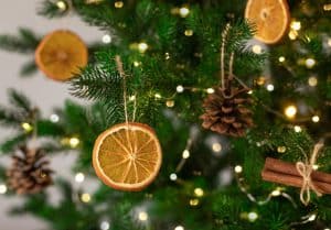 Holiday tree, Christmas Tree with lights, Dried Oranges, Ornaments, Organic, Upcycling, Conscious Interior Design, Green Interior Design