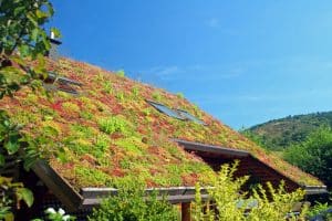 Three quarter view of green roof with variegated planting, hills in the background and garden. Eco Conscious California home. 