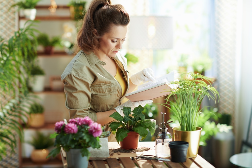 Woman in casual clothes looks at book, research while caring for house plants in a green home, diffused light from window, interior design