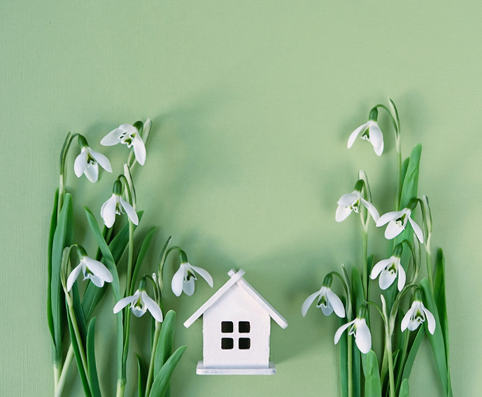 Small house model against green background with snowdrop flowers on either side