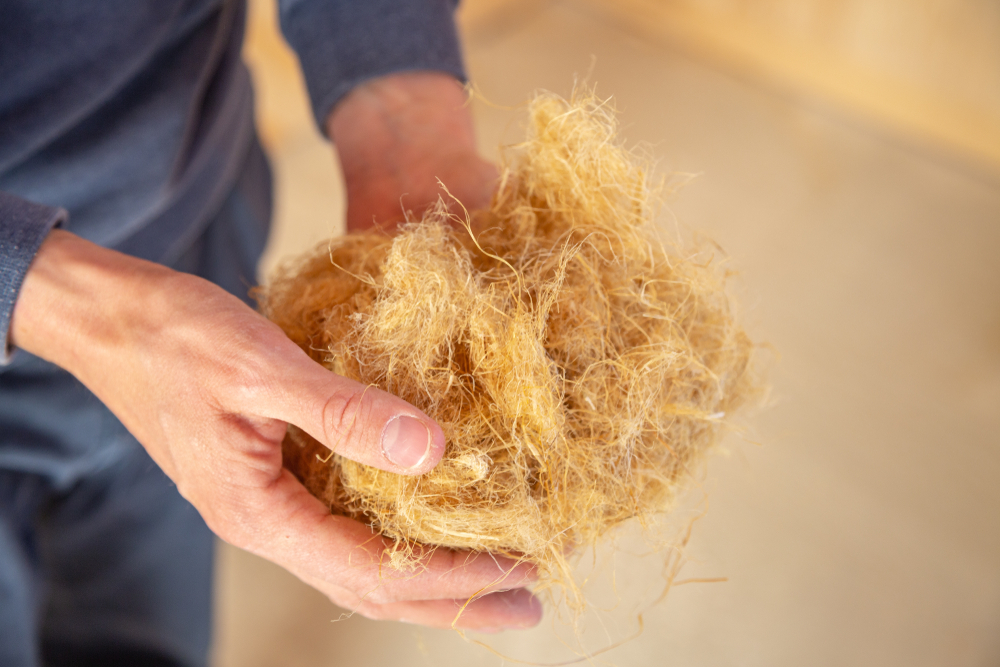 Close up of worker's hands holding hemp wool, hemp insulation