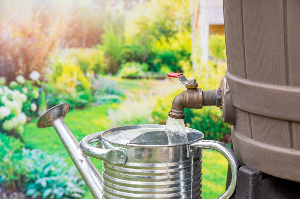 Close up collected rainwater from faucet fills metal watering can against blurred idyllic garden backdrop, greywater recycling