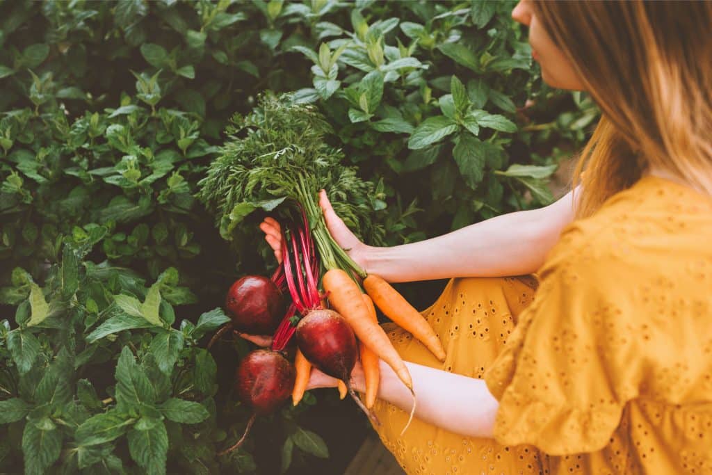 Woman in profile with fresh vegetables in vegan kitchen garden wearing yellow dress